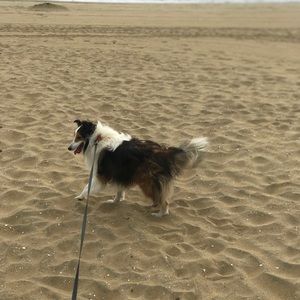 Meet your Posher, Adam